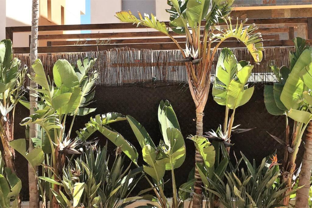 Chill Out Ground Floor Apartm +Private Garden+Wifi Retamar  Exterior foto